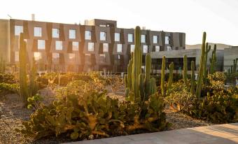Keo-Hotel-Terraza-del-cactus