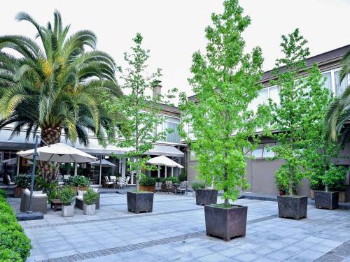 Hotel-Boutique-Raíces-Terraza-6