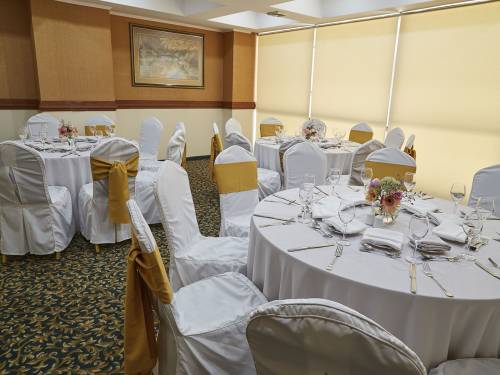  Hotel-Torremayor-Lyon-Salón-Concordia_01