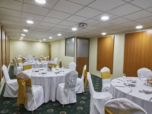 Hotel-Torremayor-Lyon-Salón-Genova_01
