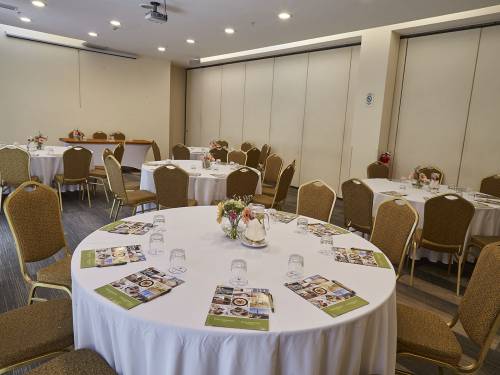 Hotel-Torremayor-Lyon-Salón-Parma1_01