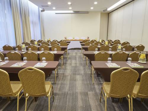 Hotel-Torremayor-Lyon-Salón-Parma1_02