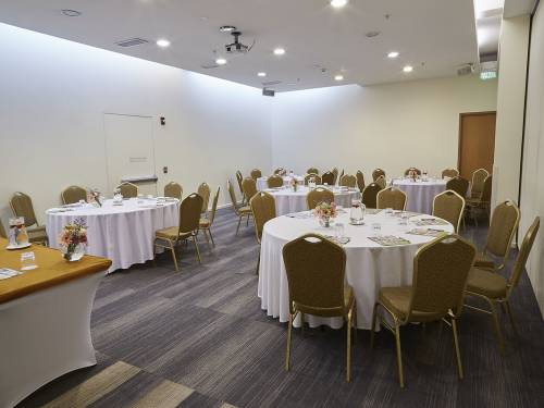 Hotel-Torremayor-Lyon-Salón-Parma2_01