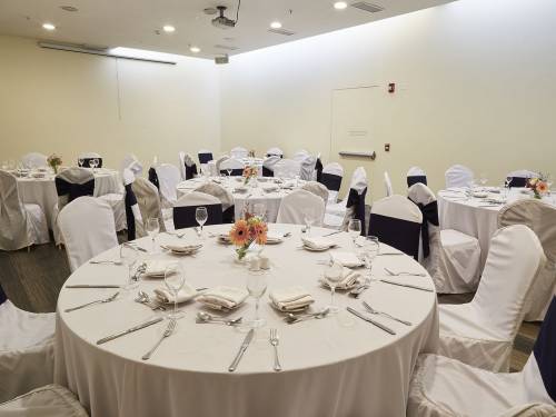 Hotel-Torremayor-Lyon-Salón-Parma2_02