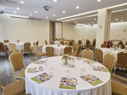 Hotel-Torremayor-Lyon-Salón-ParmaFull_01