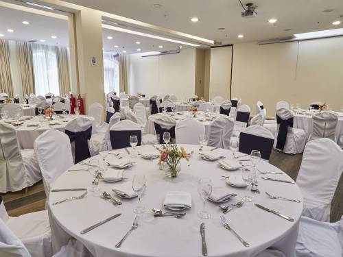 Hotel-Torremayor-Lyon-Salón-ParmaFull_02